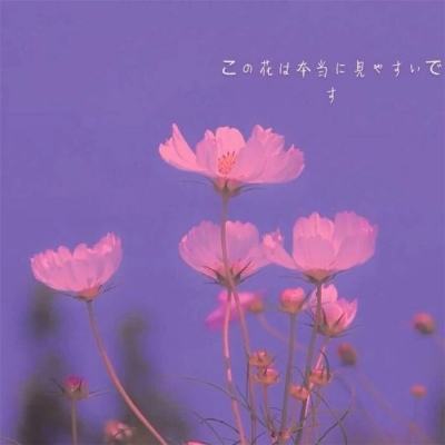 怪兽宝贝福利版下载